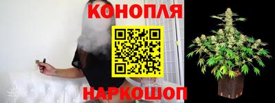крисы Нальчик