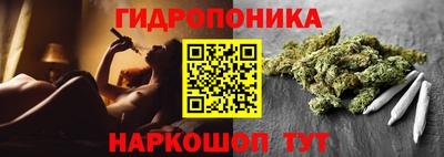 крисы Нальчик