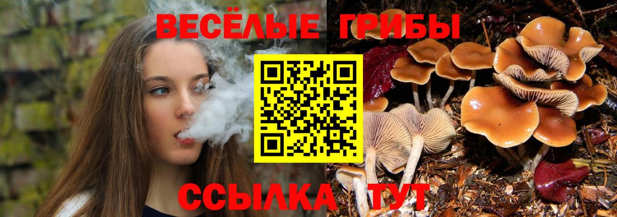 Каннабис  ГАШИШ  Вход с VPN  Cocaine  Ухта  МЕФ кристаллы  A PVP СК   МДМА 