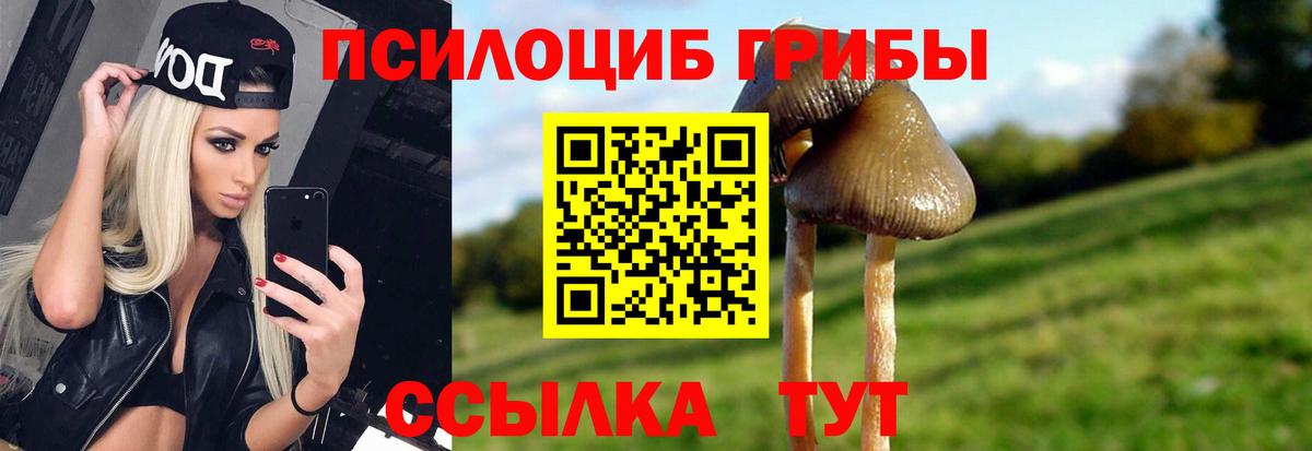 Галлюциногенные грибы MAGIC MUSHROOMS  Псилоцибиновые грибы мицелий  Ухта  Вход с VPN 